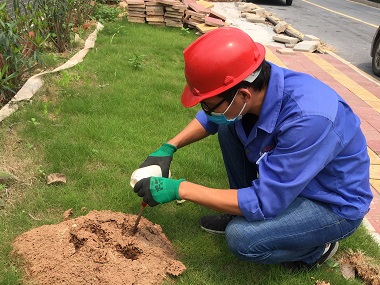 乐从红火蚁备案站工业园区红火蚁防治方案