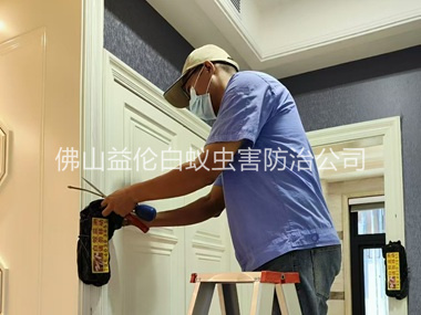 顺德住宅白蚁防治工程