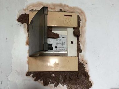 顺德白蚁防治科普白蚁入侵住宅的途径