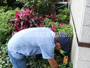 陈村住宅环境灭鼠工程