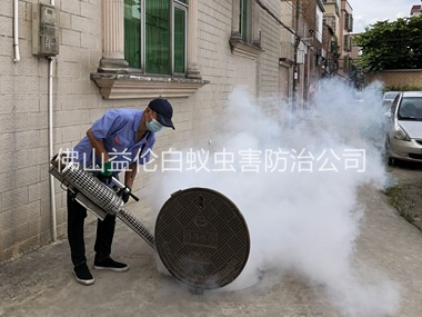 容桂村庄有害生物消杀工程